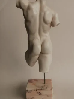 Online Pamono Italian Artist, Torso, 20th Century, Carrara Marble