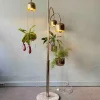 Pamono Italian Brass and Marble Floor Lamp with Planters attributed to Reggiani, Italy, 1970s> Floor Lamps