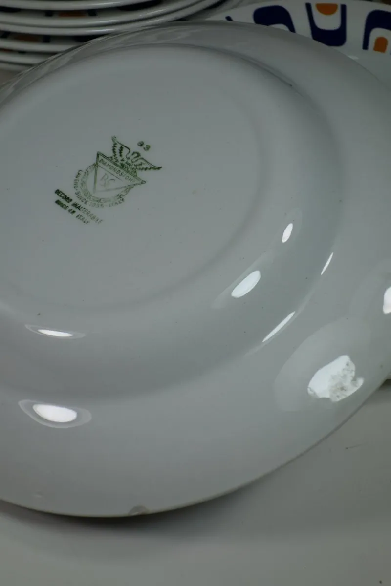 Hot Pamono Italian Ceramic Plates by Antonia Campi for Laveno, 1960s, Set of 26
