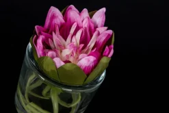 Pamono Italian Eternity Segnaposto Lotus Flower Big Set Arrangement Composition from VGnewtrend><noscript><img width=