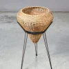 Pamono Italian Rattan Planter, 1950s> Planters And Jardiniere