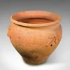 Pamono Italian Terracotta Olive Tree Planter, 1950s> Planters And Jardiniere