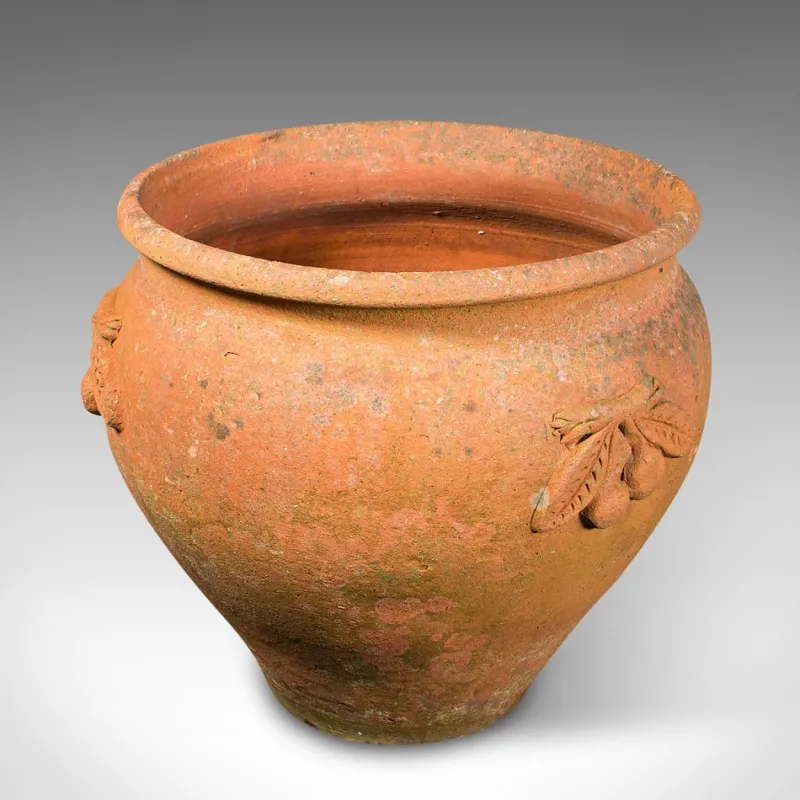 Pamono Italian Terracotta Olive Tree Planter, 1950s> Planters And Jardiniere