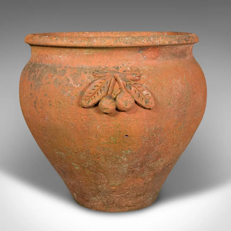Pamono Italian Terracotta Olive Tree Planter, 1950s> Planters And Jardiniere