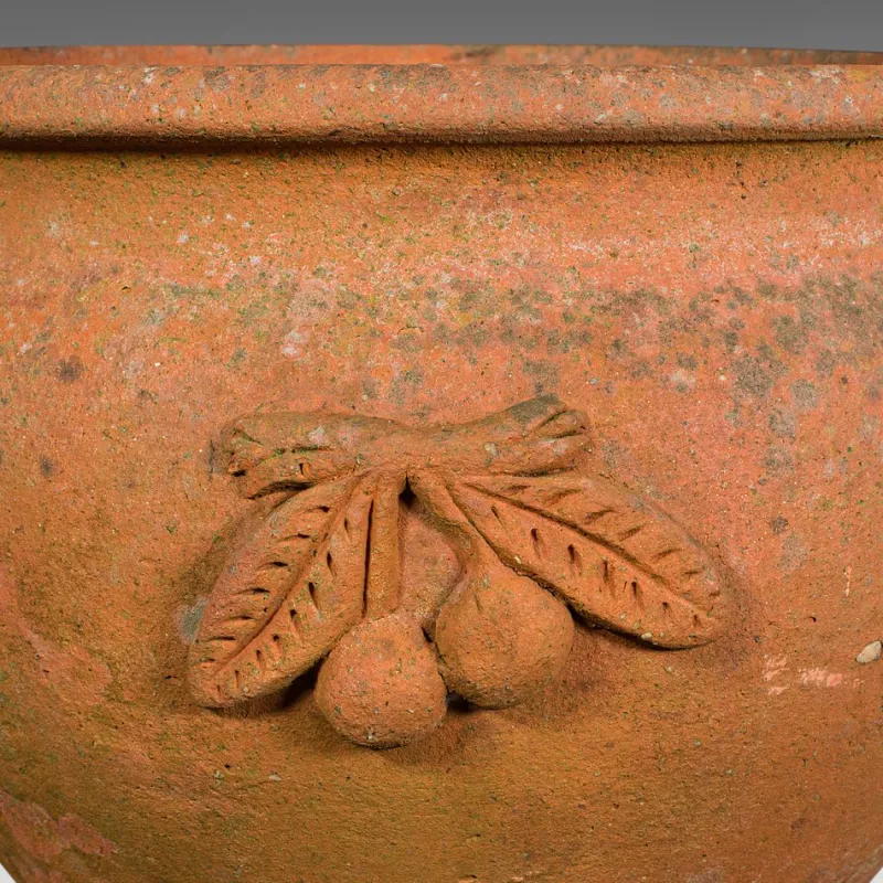 Pamono Italian Terracotta Olive Tree Planter, 1950s> Planters And Jardiniere