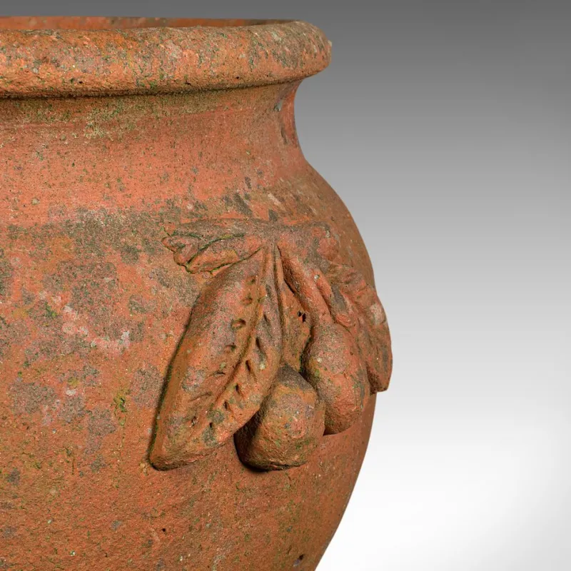 Pamono Italian Terracotta Olive Tree Planter, 1950s> Planters And Jardiniere