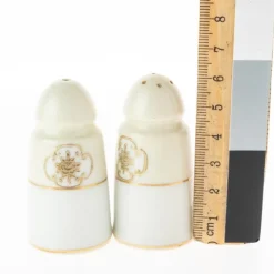 Pamono Japanese Art Deco Gilt Ceramic Shakers from Noritake, Set of 2><noscript><img width=
