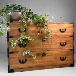 Pamono Japanese Kimono Tansu Chest, 1900s><noscript><img width=