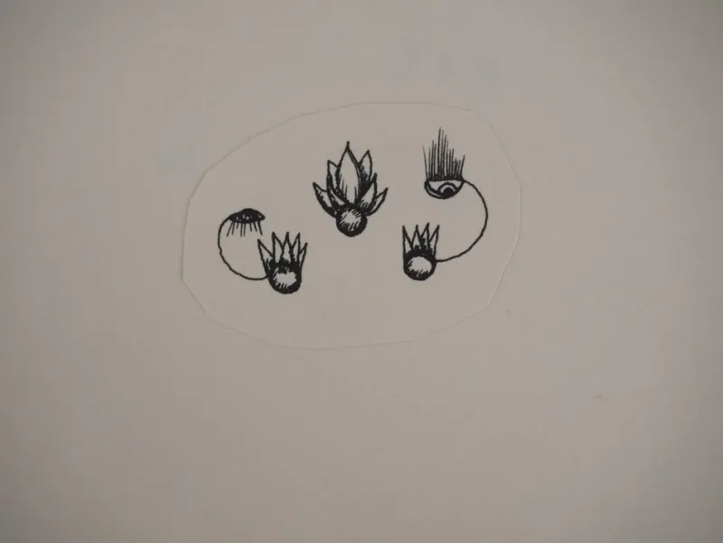 Clearance Pamono Jean-Claude Silbermann, Sly Signs, Flowers and a Mask, Original Signed Drawings, Set of 2