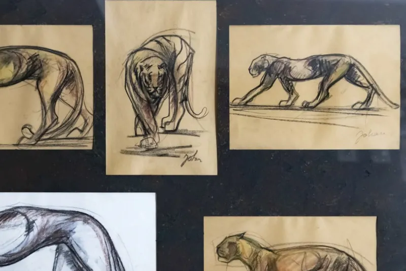 Pamono Johan Etiennette, Panther, Pastel Sketches on Paper, Framed> Mid-Century