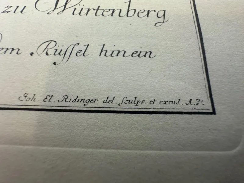 Pamono Johann Elias Ridinger, Wild Boar, Etching, 18th Century> Old Masters