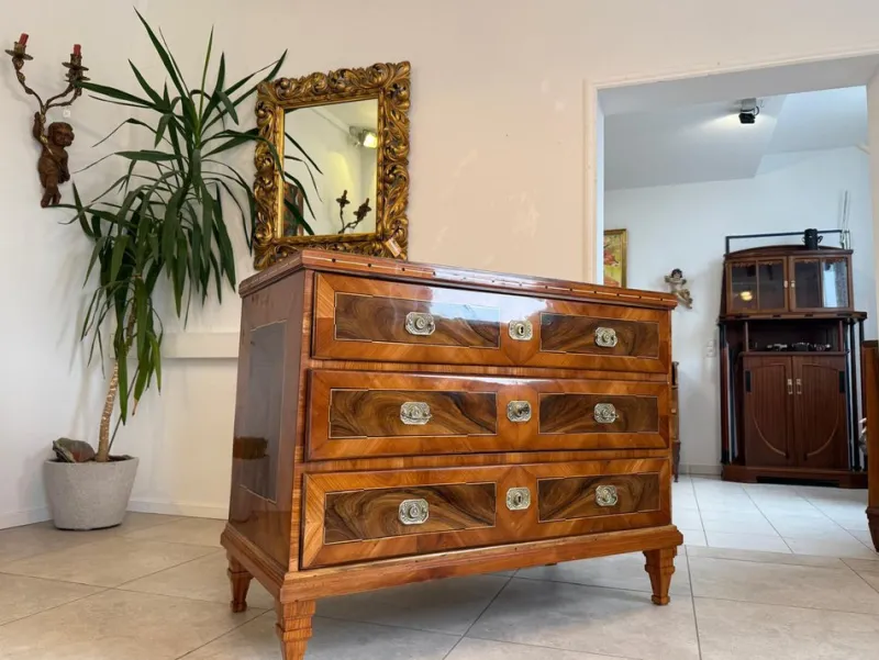 Pamono Josephinian Chest of Drawers in Walnut> Dressers, Commodes & Chests