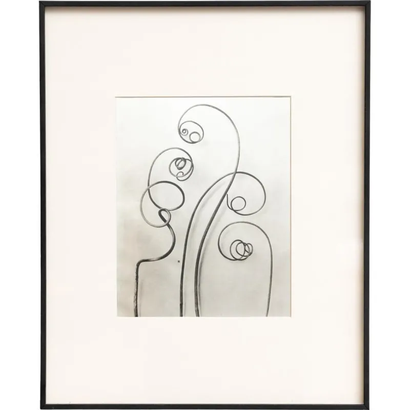 Clearance Pamono Karl Blossfeldt, Natural Grace, 1942, Photogravure, Framed