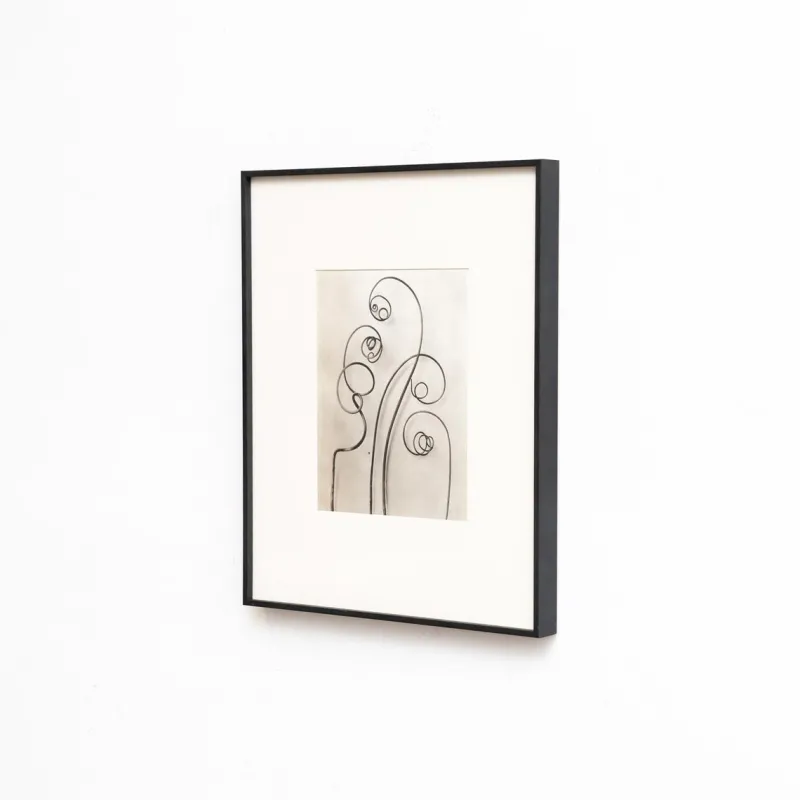 Clearance Pamono Karl Blossfeldt, Natural Grace, 1942, Photogravure, Framed