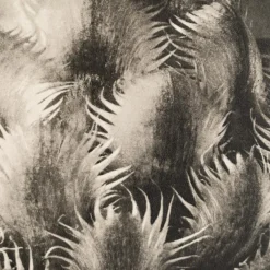 Discount Pamono Karl Blossfeldt, Natural Grace, 1942, Photogravure, Framed