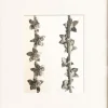 Pamono Karl Blossfeldt, Natural Grace, 1942, Photogravure, Framed> Photography