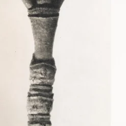 Pamono Karl Blossfeldt, Natural Grace, 1942, Photogravure, Framed><noscript><img width=