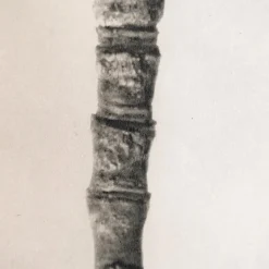 Pamono Karl Blossfeldt, Natural Grace, 1942, Photogravure, Framed><noscript><img width=