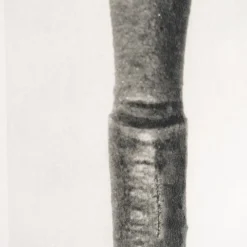 Pamono Karl Blossfeldt, Natural Grace, 1942, Photogravure, Framed><noscript><img width=