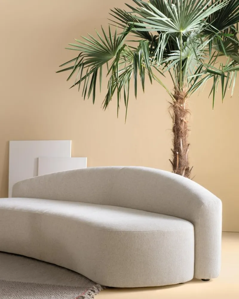 New Pamono Kyokusen Monolithic Sofa by Quinti Sedute