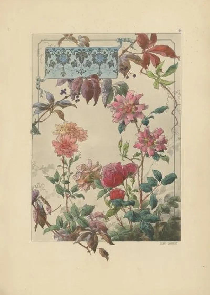 Pamono Lambert, Bengal Roses and Virginia Creeper in Art Nouveau Design, 1896, Print> Art Nouveau