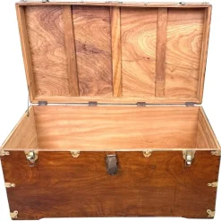Online Pamono Large Antique American Military Camphor Campaign Trunk, 1860