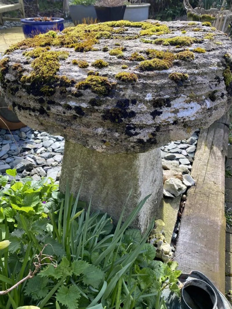 Pamono Large Antique Staddle Stone Architectural Garden Ornament, Britain, 18th Century> Garden Accessories