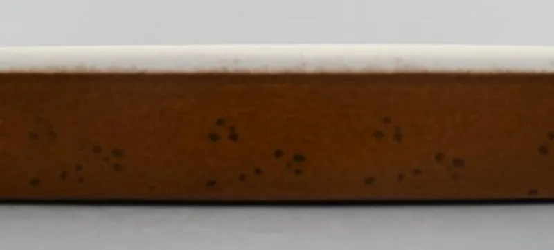 Pamono Large Coq Oven Proof Tray in Glazed Stoneware by Stig Lindberg for Gustavsberg, 1960s> Trays