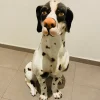 Pamono Large Dalmatian Dog Statue from Bassano, Italy, 1970s> Sculpture