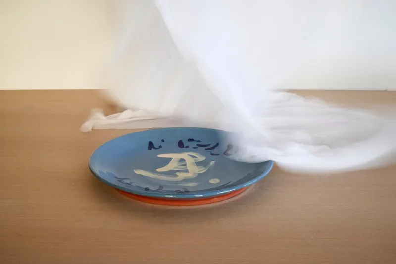 Pamono Large Enamel Plate by Jean-Baptiste Van den Heede> Decorative Plates
