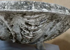Pamono Large Mid-Century Composite Stone Clam Shell Planter, 1950s><noscript><img width=