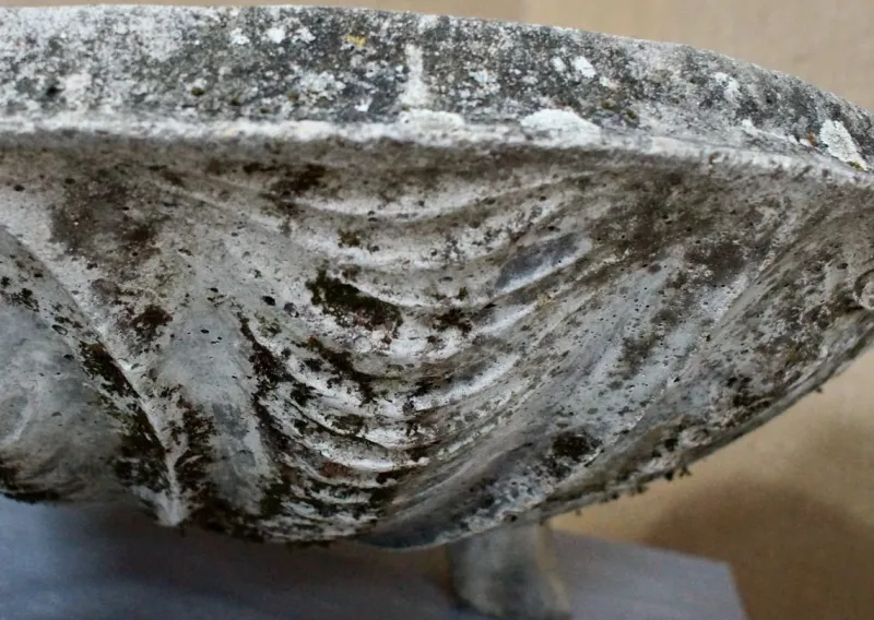 Pamono Large Mid-Century Composite Stone Clam Shell Planter, 1950s> Planters And Jardiniere