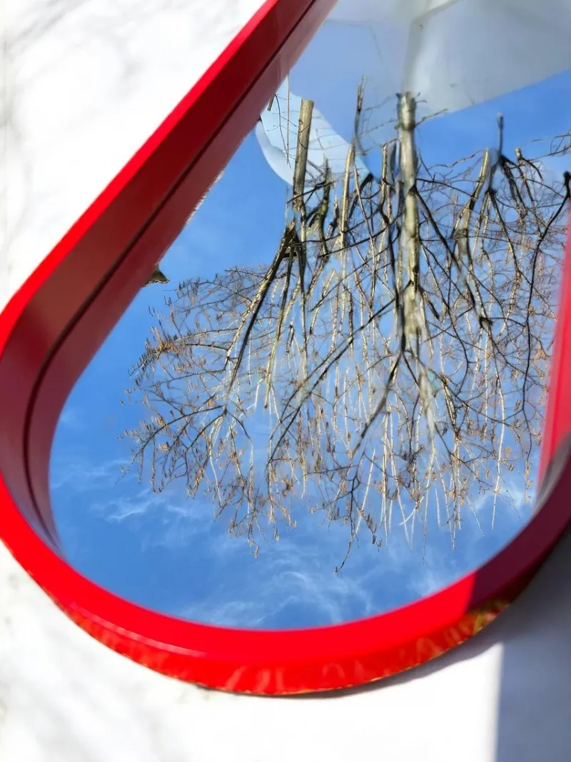 Best Pamono Large Mid-Century Modern Oval Wall Mirror with Red Lacquered Wood Frame, 1960s
