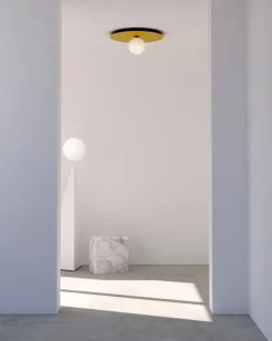 Pamono Large Plate and Sphere Ceiling Light by Atelier Areti