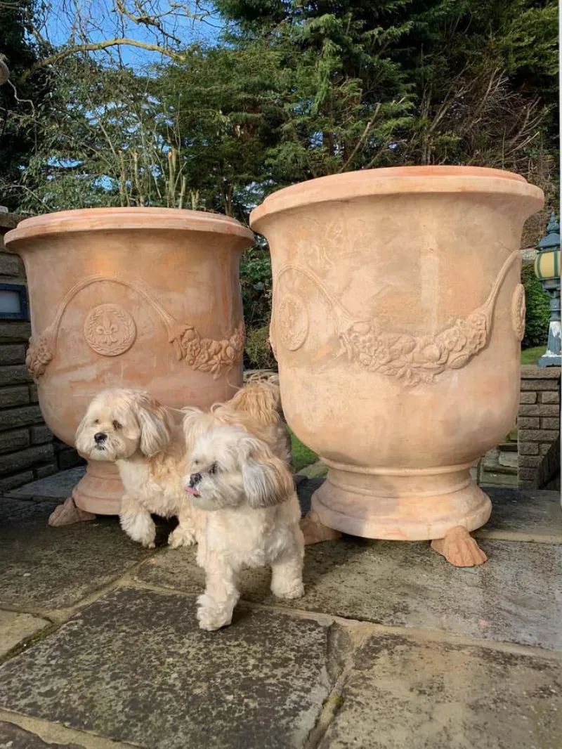 Hot Pamono Large 20th Century Handmade Terracotta Pots, Tuscany, Set of 2