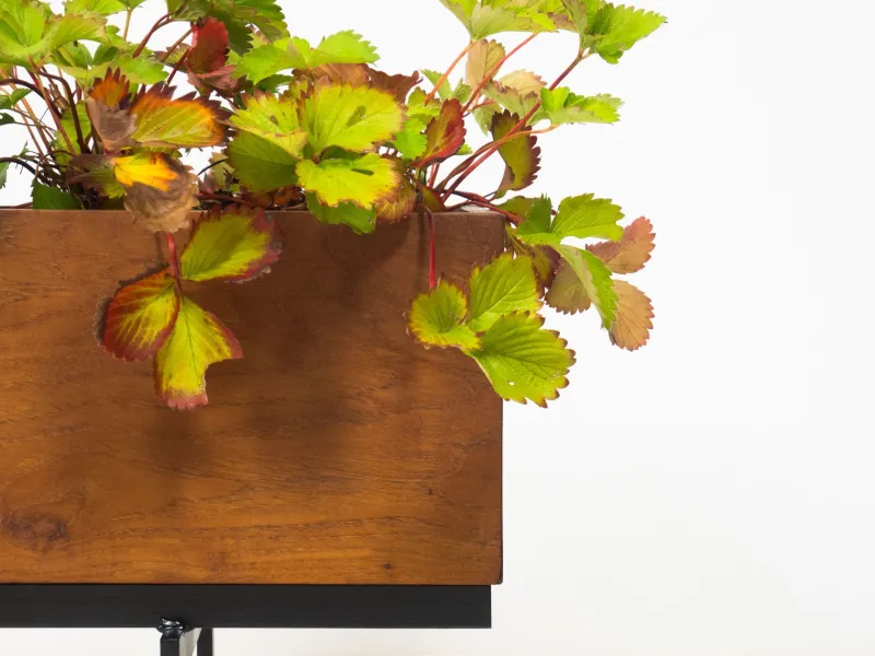 Pamono Large Vintage Teak Planter> Planters And Jardiniere