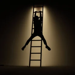 Outlet Pamono LED Line Light Ladder in Cherry by Noah Spencer