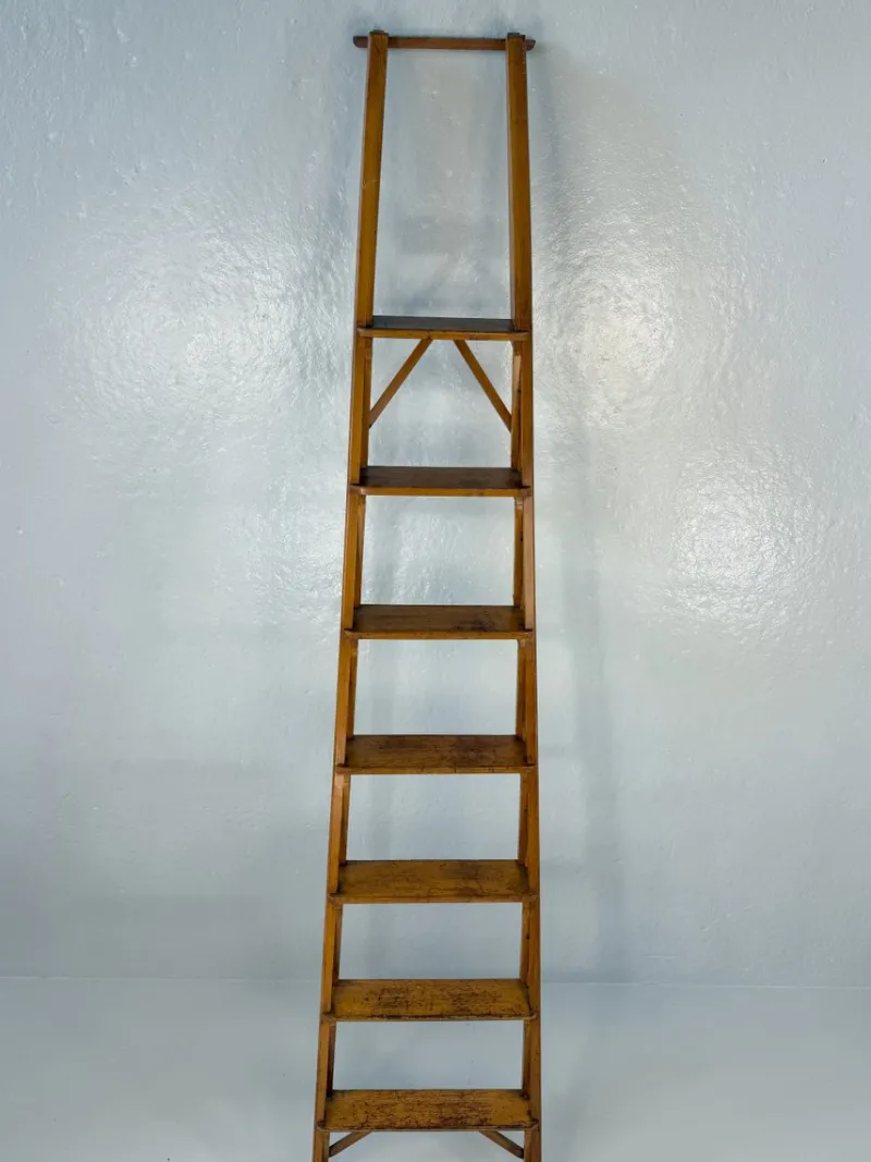 Pamono Library Ladder by Franco Albini for Poggi, 1950s> Architectural Elements