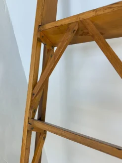 Pamono Library Ladder by Franco Albini for Poggi, 1950s><noscript><img width=