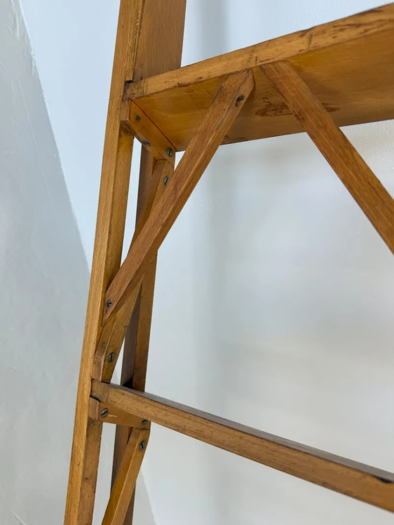 Pamono Library Ladder by Franco Albini for Poggi, 1950s> Architectural Elements