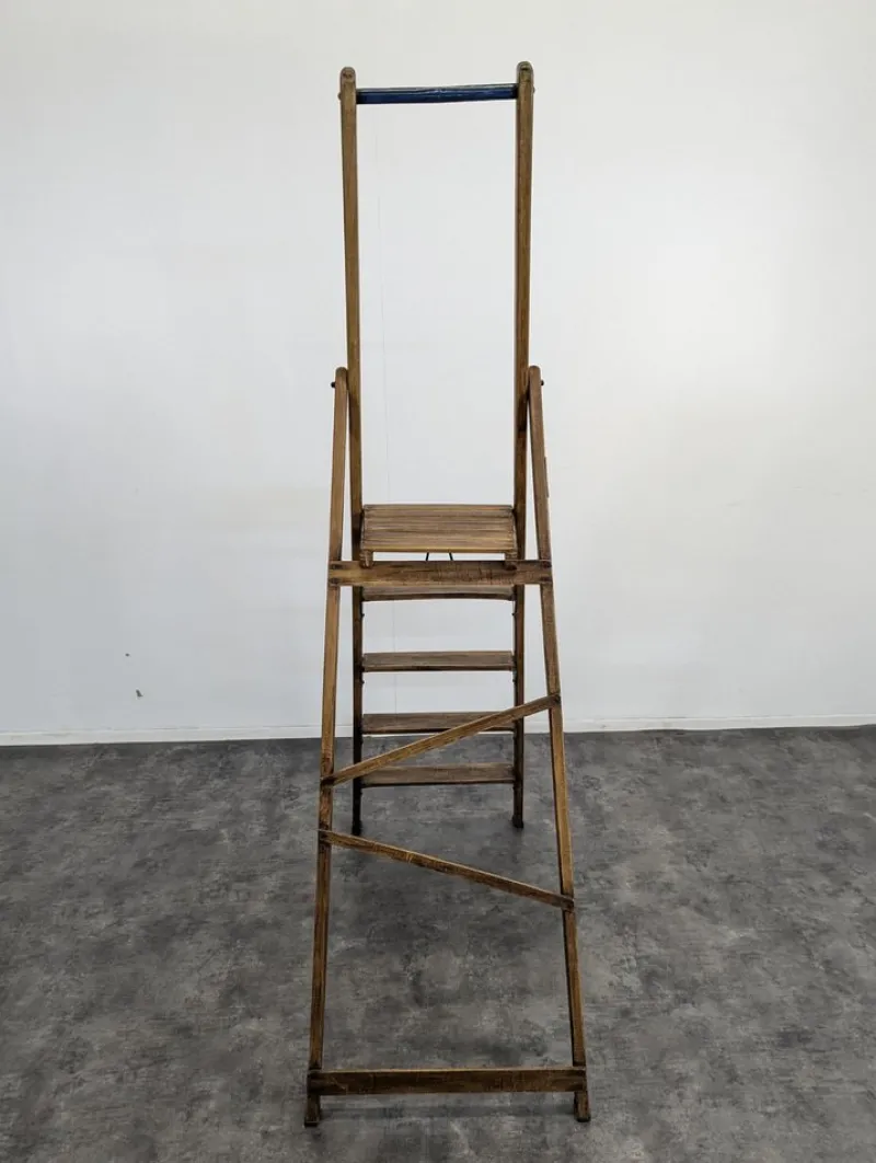 Pamono Library Stepladder in Wood> Architectural Elements