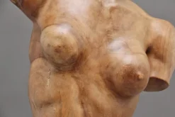 New Pamono Life Size Carved Female Torso, 1930, Walnut
