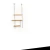 Pamono LIL SPARROW [v1] Book Shelf by Andreas Radlinger> Storage