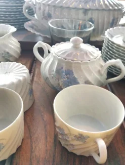 New Pamono Limoges Porcelain Dinner Service with Twisted Cornflower Decor from Haviland, 1980s, Set of 72