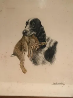 Hot Pamono Léon Danchin, English Setter and Rabbit, 1920s, Colored Lithograph
