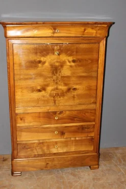 Pamono Louis Philippe Secretary in Walnut, 19th Century> Secretaires