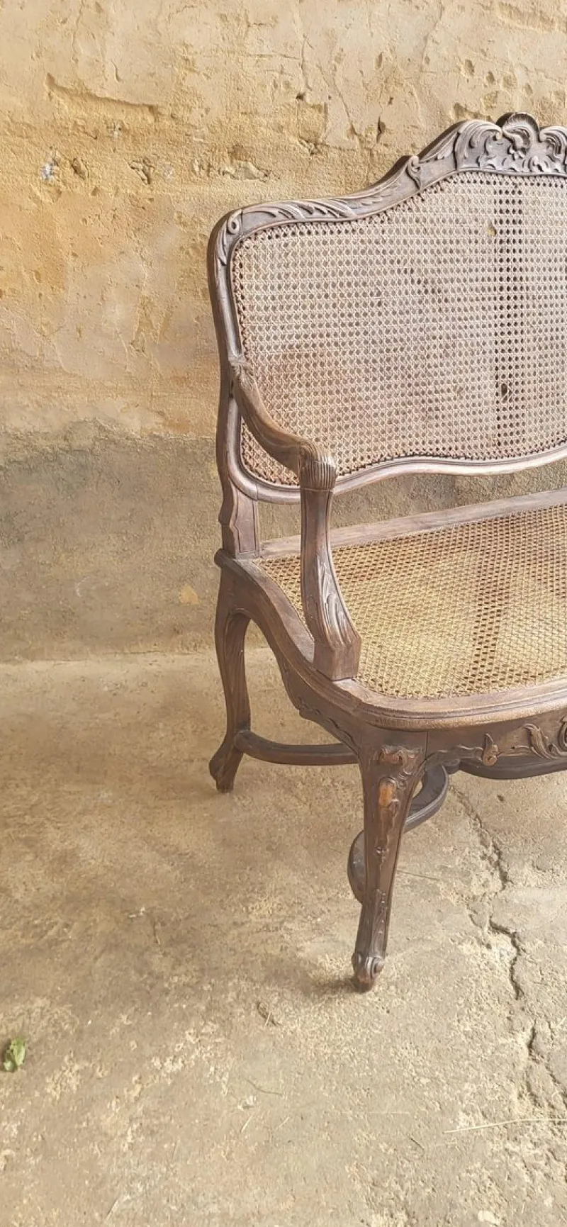 Outlet Pamono Louis XV Rattan Bench, 19th Century