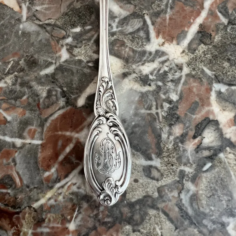 New Pamono Louis XV Style Mocha Spoons in Silver and Vermeil, France, 19th Century, Set of 12