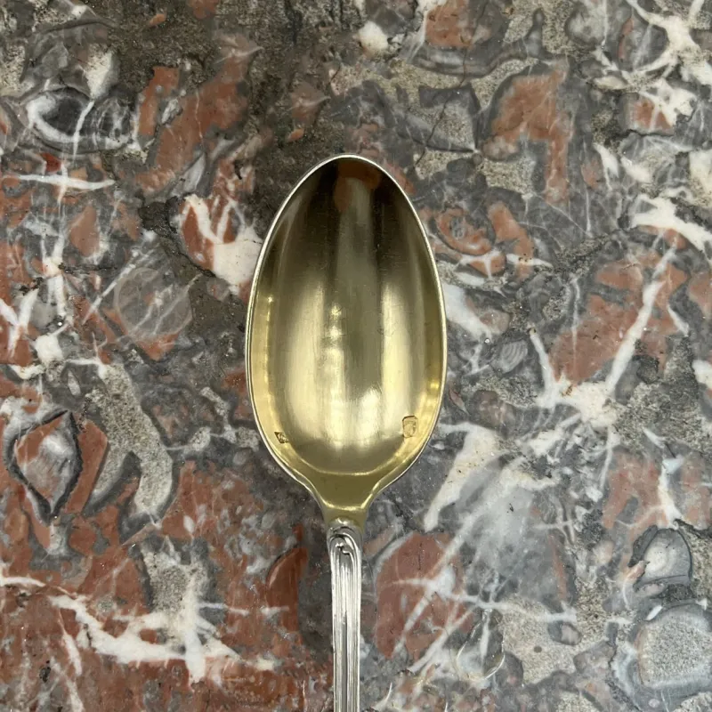 New Pamono Louis XV Style Mocha Spoons in Silver and Vermeil, France, 19th Century, Set of 12
