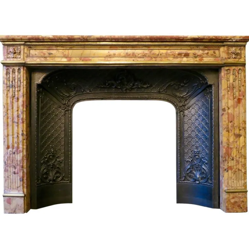 Pamono Louis XVI Fireplace Mantel in Breche Dalepp Marble> Fireplaces And Mantels